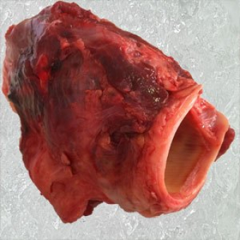 Preview: Rinderkehlkopf gewolft 500g