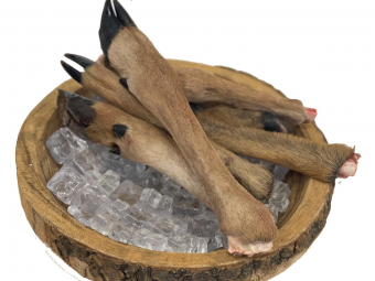 Wildbeine gemischt vom Dam- und Rehwild 1kg